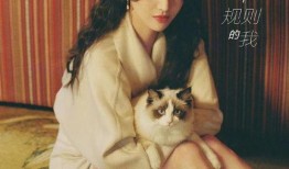 张恒娱乐爆料最新消息视频,最新视频揭秘娱乐圈惊人内幕